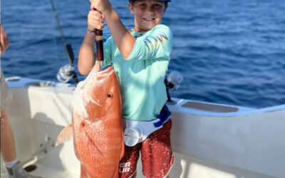 Red Snapper Season Florida