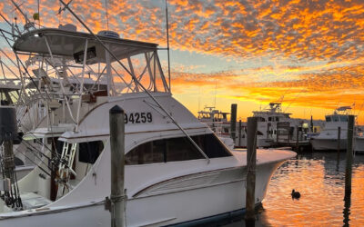 Destin Florida Seasonal Fishing Guide: Top Offshore Tips