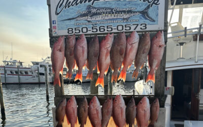 Another beautiful day aboard the Championship!