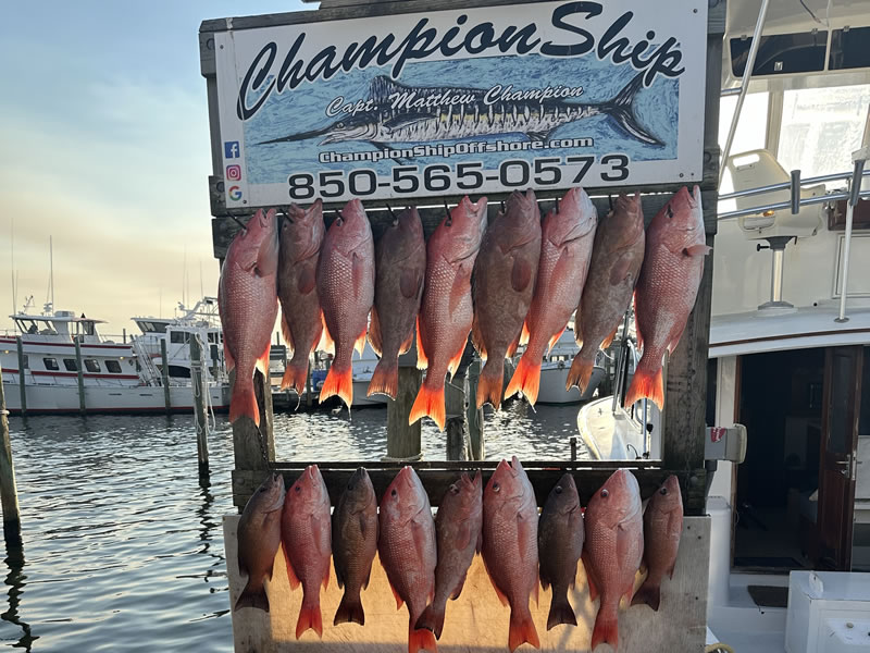 Another beautiful day aboard the Championship!