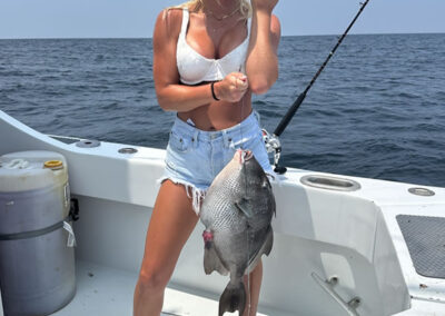 Gray Triggerfish