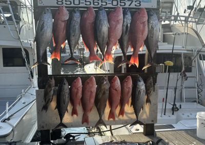 Gulf Of America Fishing