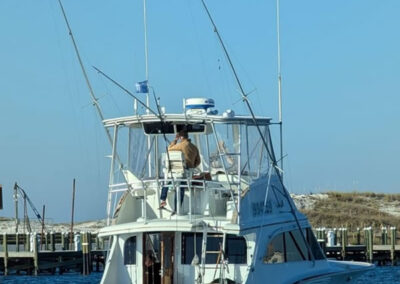 Seasonal Fishing Destin Florida
