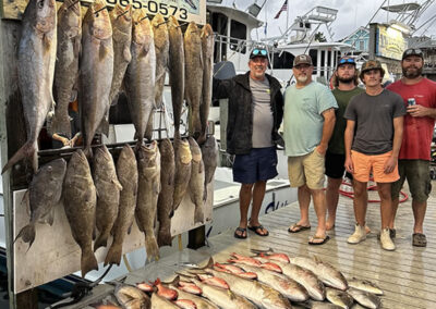 Amberjack 2