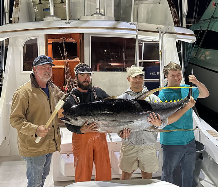 Tuna Fishing Destin Harbor Tuna Fishing Destin Harbor