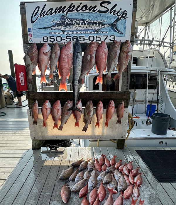 Snapper Fishing Charter Boat Championship