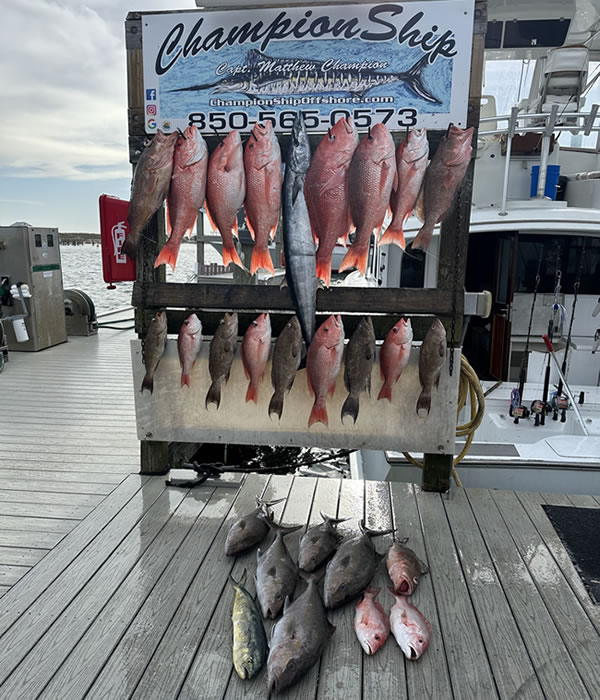 Red Snapper Fishing In Destin